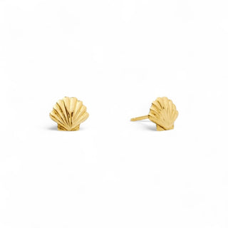 Tiny scallop sea shell stud earrings made of gold vermeil on white background
