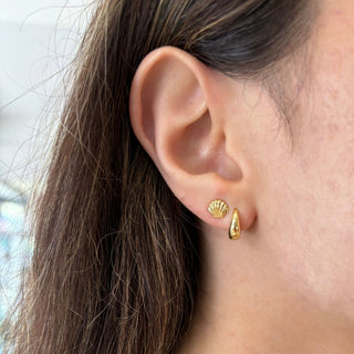 Tiny scallop shell gold vermeil stud earrings on woman's ear