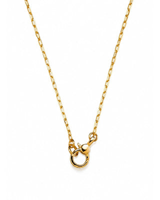 Paperclip Chain Mini Charm Holder Necklace