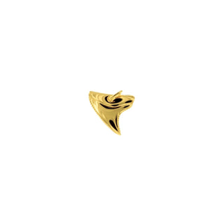 Shark Tooth Charm