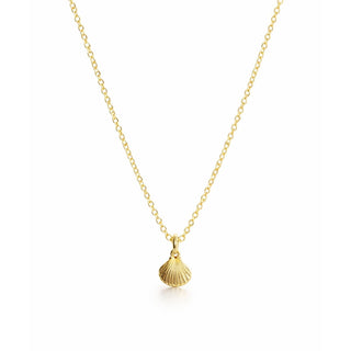 Tiny Scallop Shell Pendant Necklace