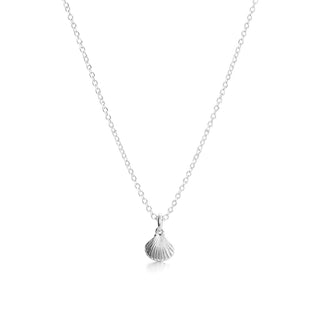 Tiny Scallop Shell Pendant Necklace