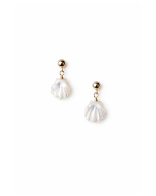 white mother of pearl scallop shell post earrings in 14k gold fill