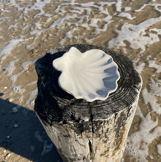 Scallop Shell Jewelry or Trinket Dish, Handmade Stoneware Pottery