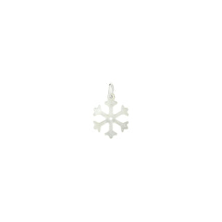 Mother of Pearl Snowflake Charm