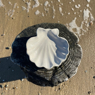 Scallop Shell Jewelry or Trinket Dish, Handmade Stoneware Pottery