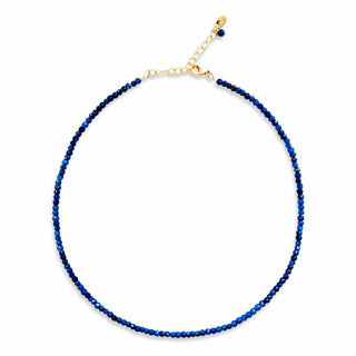 Lapis Lazuli Faceted Gemstone Necklace