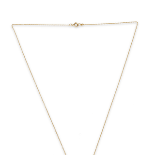 Mini Martha's Vineyard Pendant Necklace 14k Gold Chain
