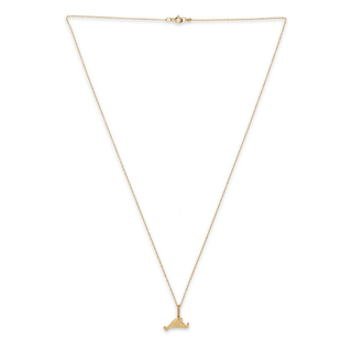 Martha's Vineyard Mini 14k Solid Gold Pendant necklace