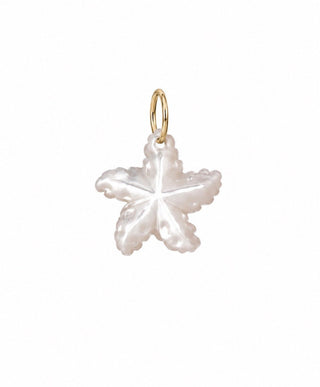 Mother of pearl starfish charm