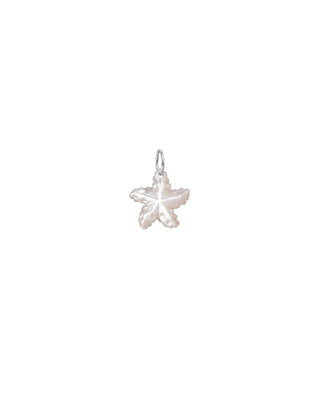 Mother of pearl starfish charm in sterling silver on white background