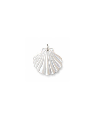 mother of pearl scallop shell pendant on a white background