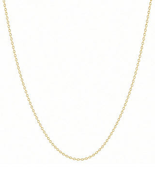 Delicate Cable Chain Necklace