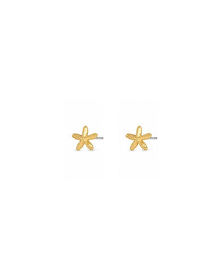 Starfish Stud Earrings