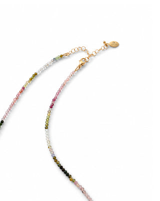 Mini Tourmaline & Labradorite Fish Pendant Necklace