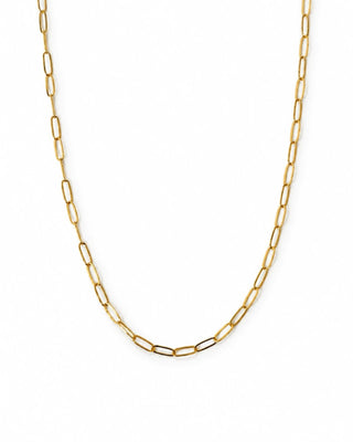 Delicate Paperclip Chain Necklace