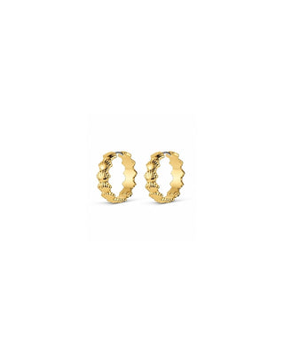 Scallop Shell Hoop Earrings