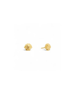 Scallop Shell Stud Earrings