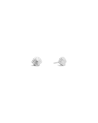 Scallop Shell Stud Earrings