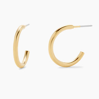 Gold Petite Hoops on Post, 3/4 inch