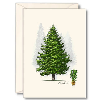 Winter Holiday Boxed Notecard Assortment