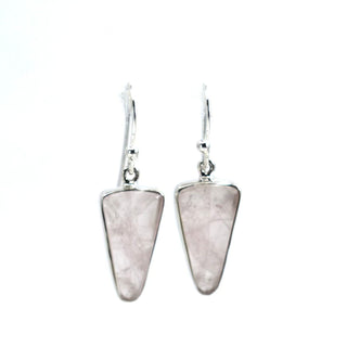 Gemstone Polished Drop Earrings
